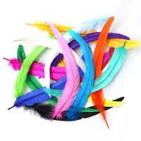 Plumes de queue de coq de carnaval colorées, blanchies et teintes, longues, 30-35 cm, pour la décoration de vêtements - Offre spéciale