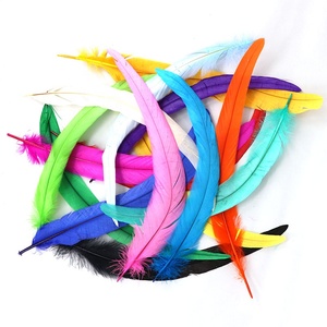 12-14 "Tẩy Trắng Và Nhuộm Dài Đầy Màu Sắc Giá Rẻ Bán Carnival Dậu Gà Trống Đuôi Lông 30-35CM Để Trang Trí Quần Áo - Product Image 4
