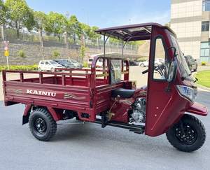 بيع مباشر من المصنع 2025 الأكثر مبيعًا دراجة نارية ثلاثية العجلات للشحن تعمل بالبنزين كاينيو تشوبر مع كابينة 250 سي سي دراجة ثلاثية العجلات ثقيلة الحمولة - Product Image 6