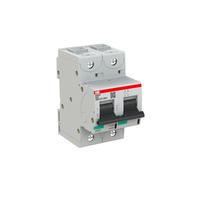 Disjoncteur miniature haute performance de type D 2CCG001241R0001, 2 pôles, pouvoir de coupure 36 kA, 80 A, 690 V CA, série S800N 250 V