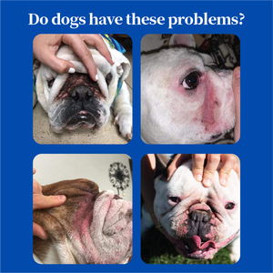 Bálsamo Natural para Arrugas de Perros 59g, Pasta Limpiadora para Pliegues Faciales de Mascotas, <span class=keywords><strong>Crema</strong></span> Suave y Calmante para Bulldogs, OEM ODM Marca Privada - Product Image 2