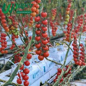 UPuper 40x8x3 pouces serres agricoles sacs de culture de tomates dalles de laine de roche hydroponique - Product Image 6