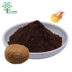 Экстракт гриба Ежовик гребенчатый (Львиная грива) в порошке, эринацины, герицинон, бета-глюкан, двойной экстракт, сертифицирован HPLC, фасовка в барабанах - Product Image 3