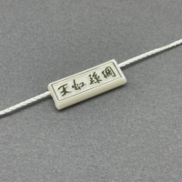 Étiquette suspendue personnalisée en PLA biodégradable et plastique recyclé écologique avec logo, cordon de 1 mm ou 2 mm, couleur personnalisée, sceau de marque