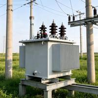Los Transformadores Monofásicos de 20 KV se Utilizan para Suministrar Energía a Zonas Residenciales Suburbanas y Rurales
