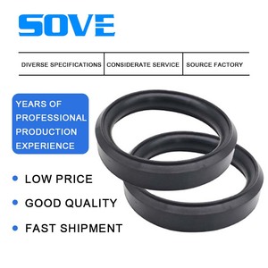 Fluoro cao su va/vs/VL fluororubber con dấu dầu con dấu là bền nhiệt độ cao kháng hóa chất - Product Image 2