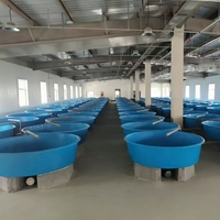 Bassin d'élevage conique Qlozone en PRV pour poissons, bac à semis, incubateur à anneau, surface lisse avec pliage