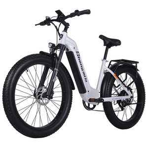 Bicicletta Elettrica per Adulti da 26 Pollici, E-Bike con Batteria al Litio a Lunga Autonomia per Trasporto Urbano e Ciclismo Ricreativo - Product Image 5