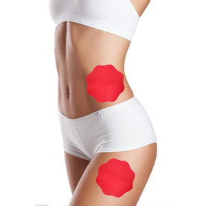 ナノテクノロジーファー赤外線自己加熱治療パッチ肩ウエスト & 膝ハーブエキスゲル野生栽培 - Product Image 2