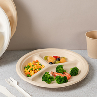 Assiettes biodégradables en bagasse compostable à 3 compartiments de 9 pouces, couleur blanc naturel, certifiées LFGB, logo personnalisé pour le camping