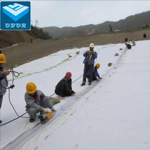 Géomembrane pour bassin de traitement des eaux usées, revêtement anti-infiltration, lagune d'eaux usées - Product Image 2