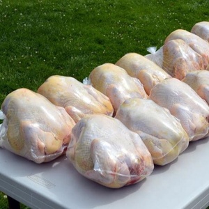 Pollo congelado PA / PE / EVOH 7 capas de alta barrera de alimentos film retráctil al vacío / bolsas - Product Image 2