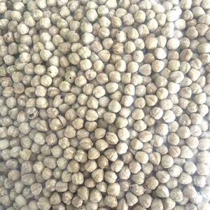 Noix de <span class=keywords><strong>noisette</strong></span> pelées brutes, peau retirée, noyaux de noisettes naturels purs comestibles pour la nourriture - Product Image 2