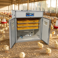 Incubateur à œufs automatique pour pigeons de marque populaire, capacité 528 œufs, en vente