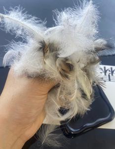 Plumes de canard grises de 2 à 4cm respectueuses de l'environnement et saines pour les textiles ménagers. Motif lavé. - Product Image 2