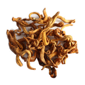 <span class=keywords><strong>Poisson</strong></span> à pénis de ver de mer sec au marché du <span class=keywords><strong>poisson</strong></span> de Busan et de corée du sud - Product Image 6