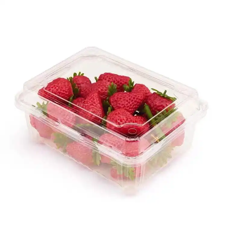 Fruit Container Plastic Wegwerp Plastic Doos
