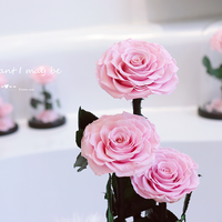 Rose éternelle personnalisée, fleur naturelle préservée, roses blanches éternelles faites à la main, cloche en verre, Halloween, remise de diplôme, respectueux de l'environnement