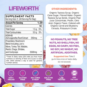 Lifeworth nhãn hiệu riêng nootropics năng lượng bổ sung Vegan Đông Trùng Hạ Thảo sư tử bờm nấm Gummies - Product Image 6