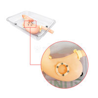 SY-NS19 Endoscopic Training System Gastroduodenal Model with Animal Tissue Assembly for Hands-on Practice