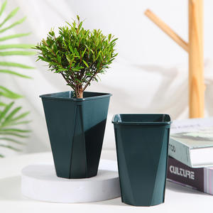 Vaso da taglio <span class=keywords><strong>in</strong></span> <span class=keywords><strong>plastica</strong></span> antiossidante da 9cm con Design classico <span class=keywords><strong>per</strong></span> piante da interno riutilizzabili e resistenti allo sbiadimento - Product Image 2
