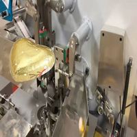 Machine d'emballage de chocolat en forme de cœur avec film métallisé, haute efficacité, thermoscellage entièrement automatique, conception personnalisée