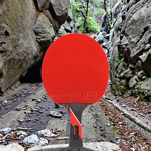 Vợt bóng bàn chuyên nghiệp chính hãng, logo tùy chỉnh, mặt vợt 5 lớp sợi carbon, mặt cao su gân thẳng, cầm thẳng, dễ mang theo - Product Image 3