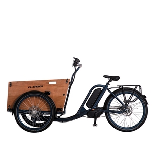 250w Electric Family Cargo <strong>Bike</strong> - Product Image 1