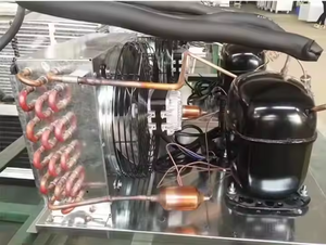 Tủ đông công nghiệp sử dụng biến tần - Product Image 2