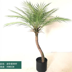 <span class=keywords><strong>Palma</strong></span> Artificiale in Plastica di Alta Qualità 2026, Nuovo Design Resistente all'Acqua e ai Raggi UV, 3m per Interni ed Esterni, Ideale per Paesaggisti e Compleanni - Product Image 4