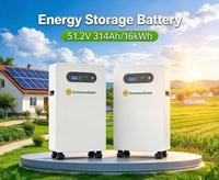 Batterie lithium de haute qualité 16 kW, pack de batteries 51,2 V 10 kWh 16 kWh LiFePO4 pour système de stockage d'énergie solaire