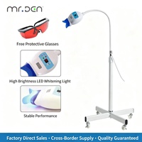 Lampe de sol mobile de haute qualité Mr.Den, lampe LED laser mobile, lampe de blanchiment, 3 couleurs bleu rouge violet pour salon de blanchiment dentaire