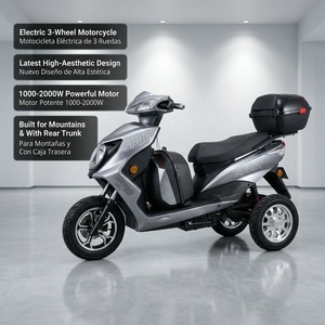 Tricycle électrique professionnel à <span class=keywords><strong>3</strong></span> <span class=keywords><strong>roues</strong></span>, <span class=keywords><strong>moto</strong></span> 1000W 1500W 2000W pour les routes montagneuses et les pentes raides, avec rangement arrière pour le transport de marchandises - Product Image 2