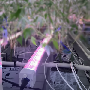 Lámpara de Cultivo LED de 120W para Interior, Espectro Completo, IP65, con Diodos 281B 301 H Evo, Luz Inter Canopy - Product Image 1