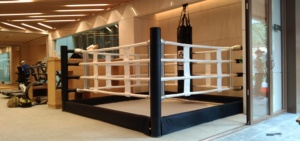 Équipement <span class=keywords><strong>de</strong></span> combat commercial <span class=keywords><strong>de</strong></span> haute qualité, pliable rapidement, pour salle <span class=keywords><strong>de</strong></span> sport, <span class=keywords><strong>boxe</strong></span>, MMA, <span class=keywords><strong>ring</strong></span> pliable - Product Image 2