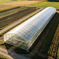 Serre Agricole Commerciale Complète en Kit – Meilleures Ventes