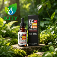Complément alimentaire liquide tout-en-un à base de plantes, vitamines B12+B6, marque privée OEM, pour l'immunité et le métabolisme énergétique