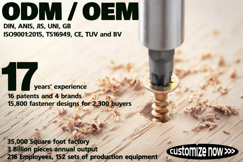Holzschrauben-Sortiment – 1000+ Stück, 3-6 Mm, Verzinkt/gelb, Senkkopf, Pozidriv – Im Kasten