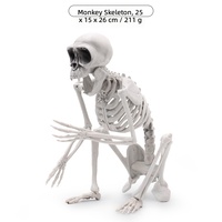 Décoration d'horreur transfrontalière pour Halloween : Squelette d'animal réaliste en plastique, singe sans queue, pour bar et maison hantée