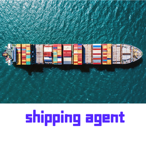 Weltweiter Luft versand von Tür zu Tür Spediteur Logistik dienst LCL Seeschiff fahrt sagent Von China nach USA Malaysia Indien - Product Image 5