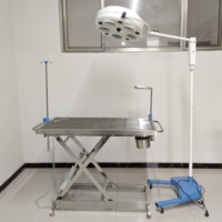 Table d'opération vétérinaire professionnelle durable pour animaux, en acier inoxydable, hydraulique et électrique, conforme à la norme ISO13485