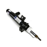 Amortisseur de suspension arrière OGDEN pour BMW X3 F25 X4 F26 2011-2017 OEM 37126799911