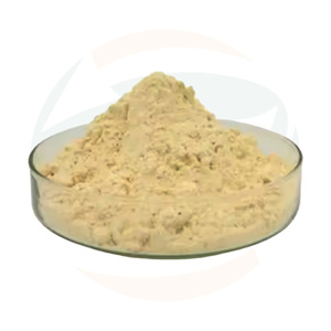 Poudre <span class=keywords><strong>d</strong></span>'extrait <span class=keywords><strong>de</strong></span> <span class=keywords><strong>fleur</strong></span> <span class=keywords><strong>de</strong></span> Daidai (Citrus Aurantium) <span class=keywords><strong>de</strong></span> Chine, issue <span class=keywords><strong>de</strong></span> fleurs naturelles <span class=keywords><strong>de</strong></span> Daidai, riche en flavonoïdes et en Nobiletin, largement utilisée - Product Image 4