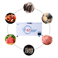 Meilleur Congélateur Horizontal Commercial à Très Grand Volume, Congélateur Coffre pour Viande et Poisson, Idéal pour Supermarchés et Usage Domestique