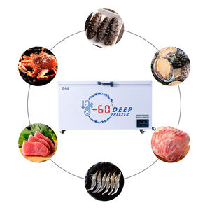 Meilleur Congélateur Horizontal Commercial à Très Grand Volume, Congélateur <span class=keywords><strong>Coffre</strong></span> pour Viande et Poisson, Idéal pour Supermarchés et Usage Domestique - Product Image 4