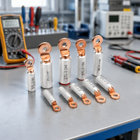 Embout de câble en cuivre DTL-2 70 mm, plaqué laiton, tension nominale 1000 V, marque TANHO