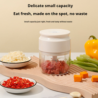 Mini Elektrische Groentesnijder Chopper Knoflook Stamper Crusher Usb Oplaadbare Gember Vlees Molen Keukenmachine Keuken Gadget