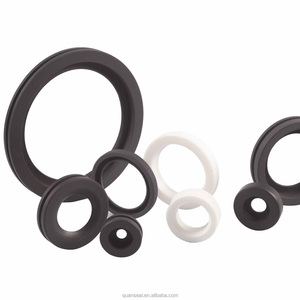 Quanseal PTFE dầu con dấu-Mô hình wlh - Product Image 1