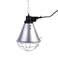Chauffeuse pour poussins à économie d'énergie, équipement avicole, prix usine, lampe chauffante infrarouge pour usage agricole