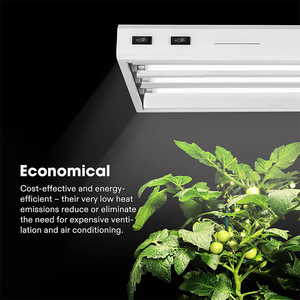 US 24W Tubes Fluorescents <span class=keywords><strong>T5</strong></span> Lampe Pack Multicolore Stock Grow Lights Différents Spectres <span class=keywords><strong>Plante</strong></span> Croissance IP65 Cote 90 Lm/W - Product Image 3